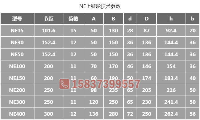 NE提升機(jī)鏈輪尺寸